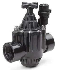Rain Bird 10 x 2 in. Control Valve